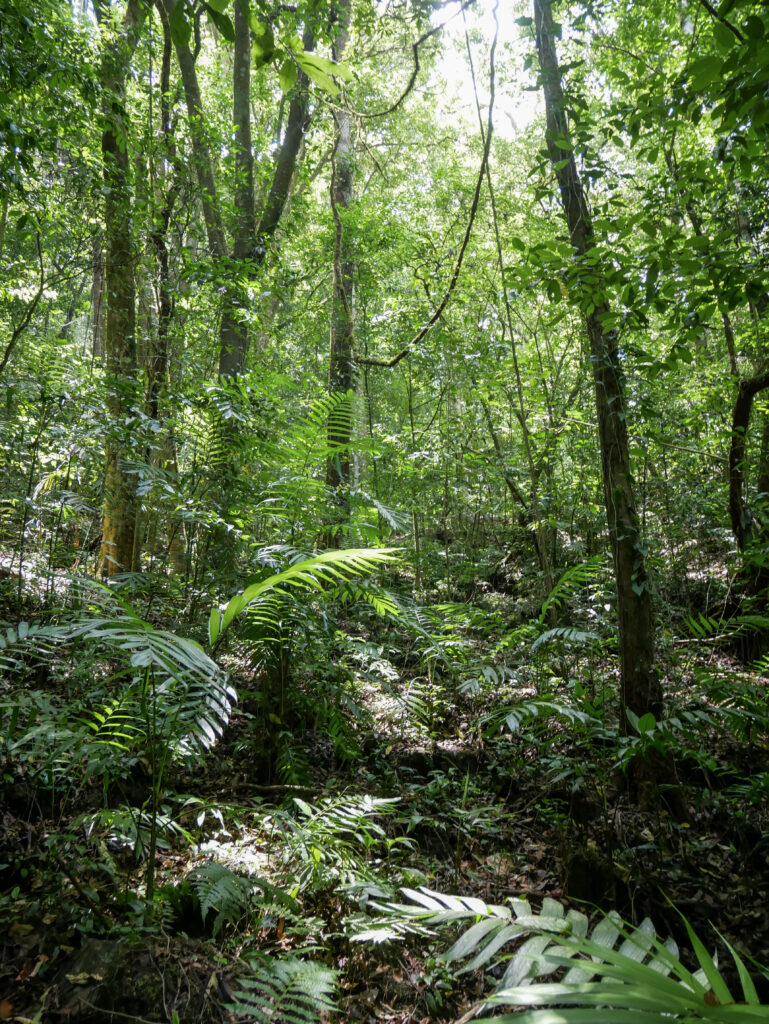 alt="individuele mindfulness sessies bij Vidaflow"
