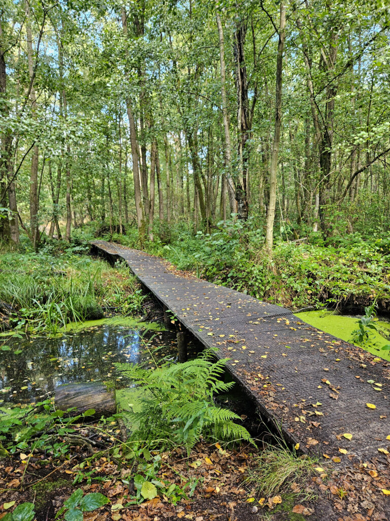 "mindfulnesstraining in kleine groep bij Vidaflow"